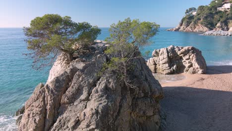 Felsen-Vegetation-Türkisblau-Meer-Durchsichtig-Entspannen