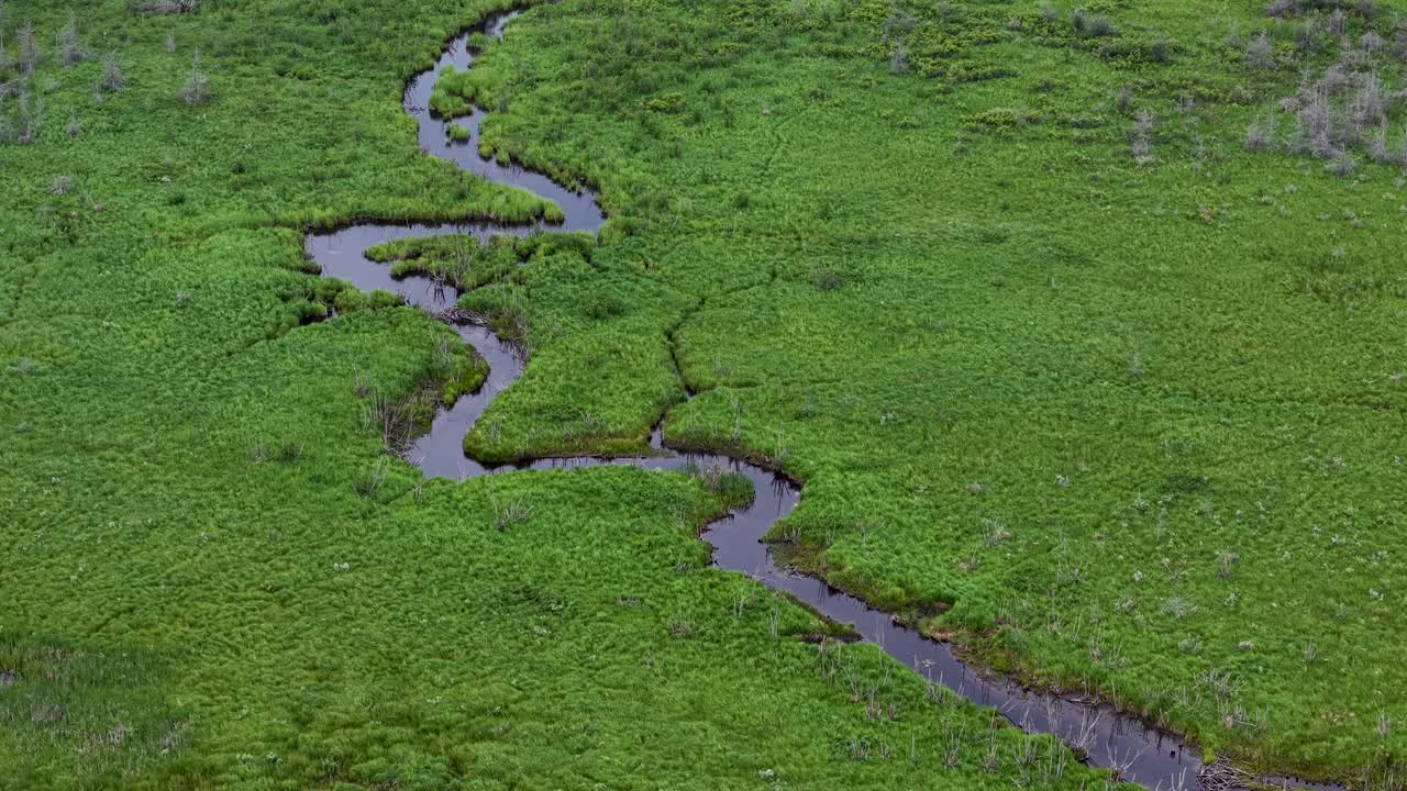 Aerial view of meandering river amongst lush green grasslands