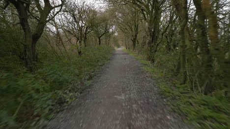 hawthorn tree tunnel pathway forwards mid level fast