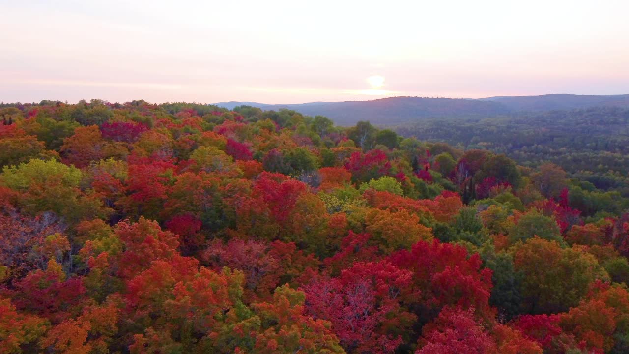Aerial landscape view over a magical autumn forest, with trees full of bright colorful foliage, on a sunny evening
