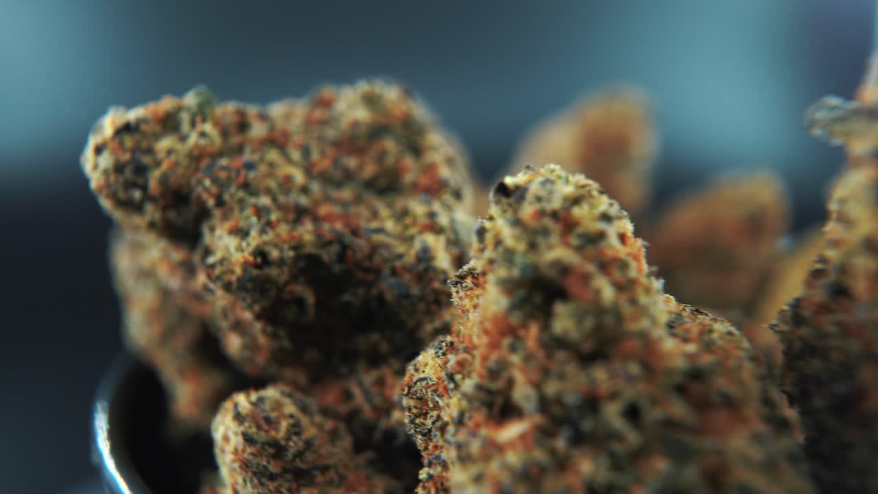 A macro cinematic beautiful shot of a cannabis plant, orange hybrid strains, Indica and sativa , dark purple marijuana flower, on a rotating stand, slow motion, 4K, professional studio lighting