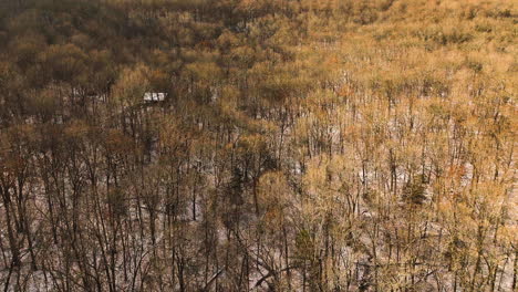 Autumn-leaves-blanket-Mount-Sequoyah,-Arkansas,-with-a-rustic-warm-hue,-aerial-view