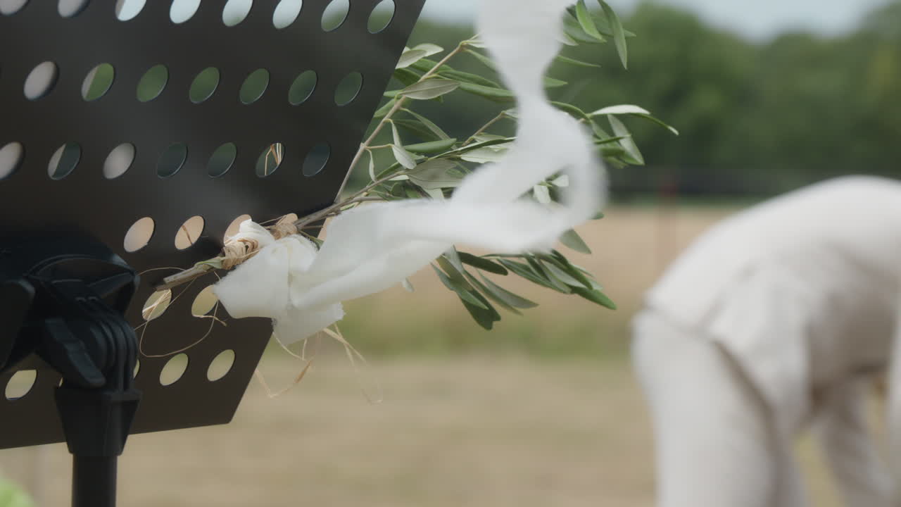 Elegant outdoor wedding altar decor with greenery. Perfect for wedding planning visuals