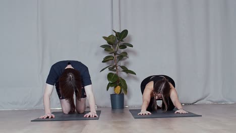 couple practicing yoga