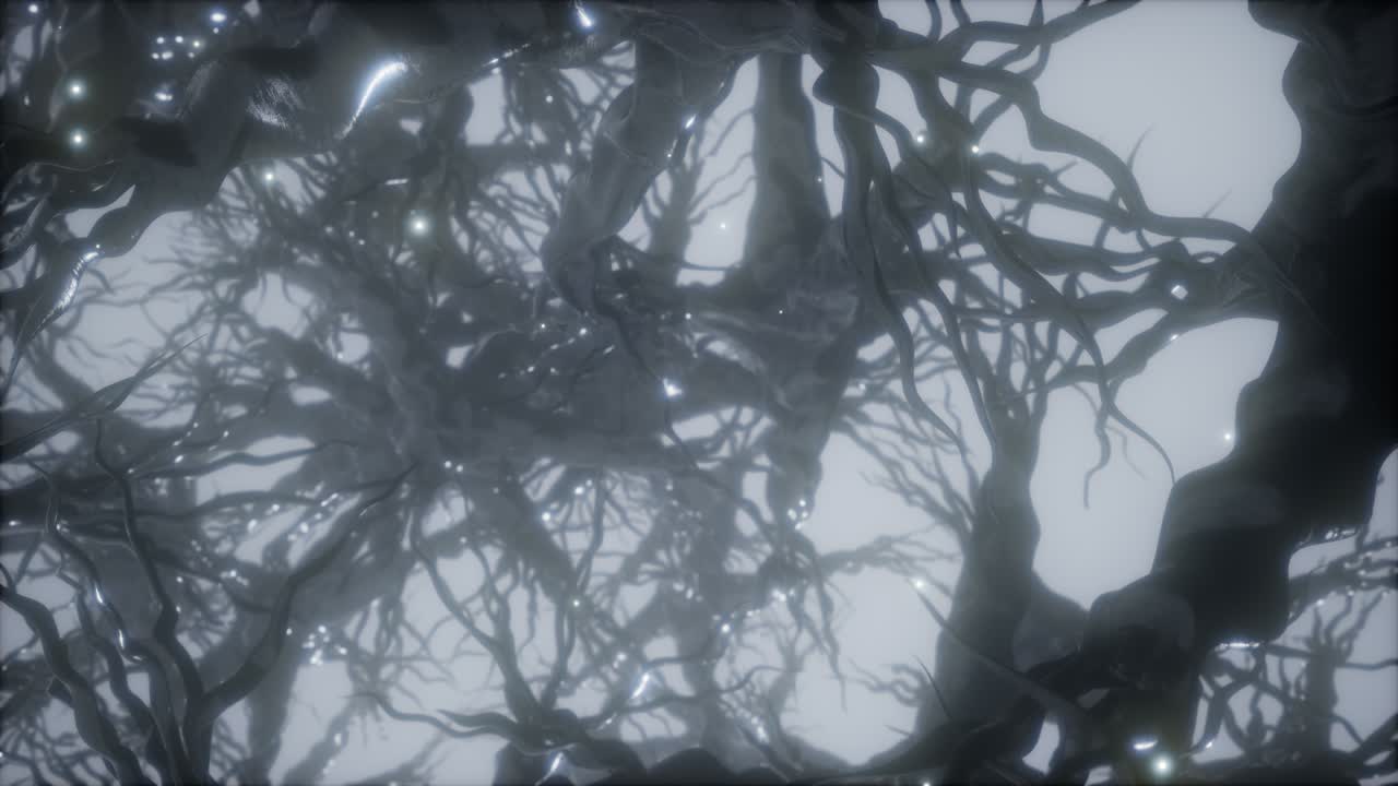 Journey through a neuron cell network inside the brain