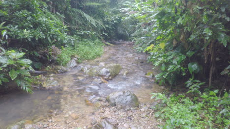 Trípode-Disparó-Un-Pequeño-Arroyo-En-La-Selva