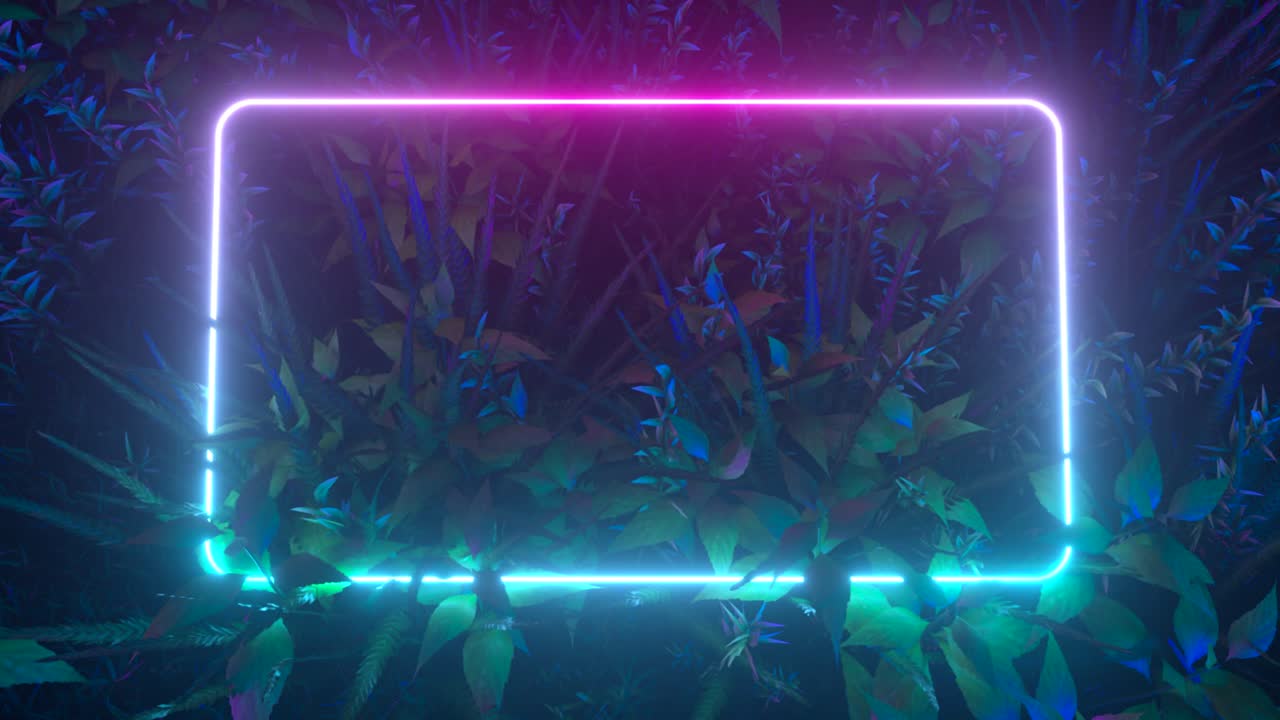 어두운 정글 배경 에 있는 네온 프레임