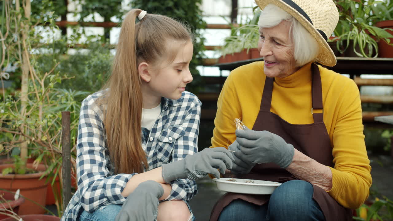 Grandmother and Granddaughter Planting Bulbs in Greenhouse