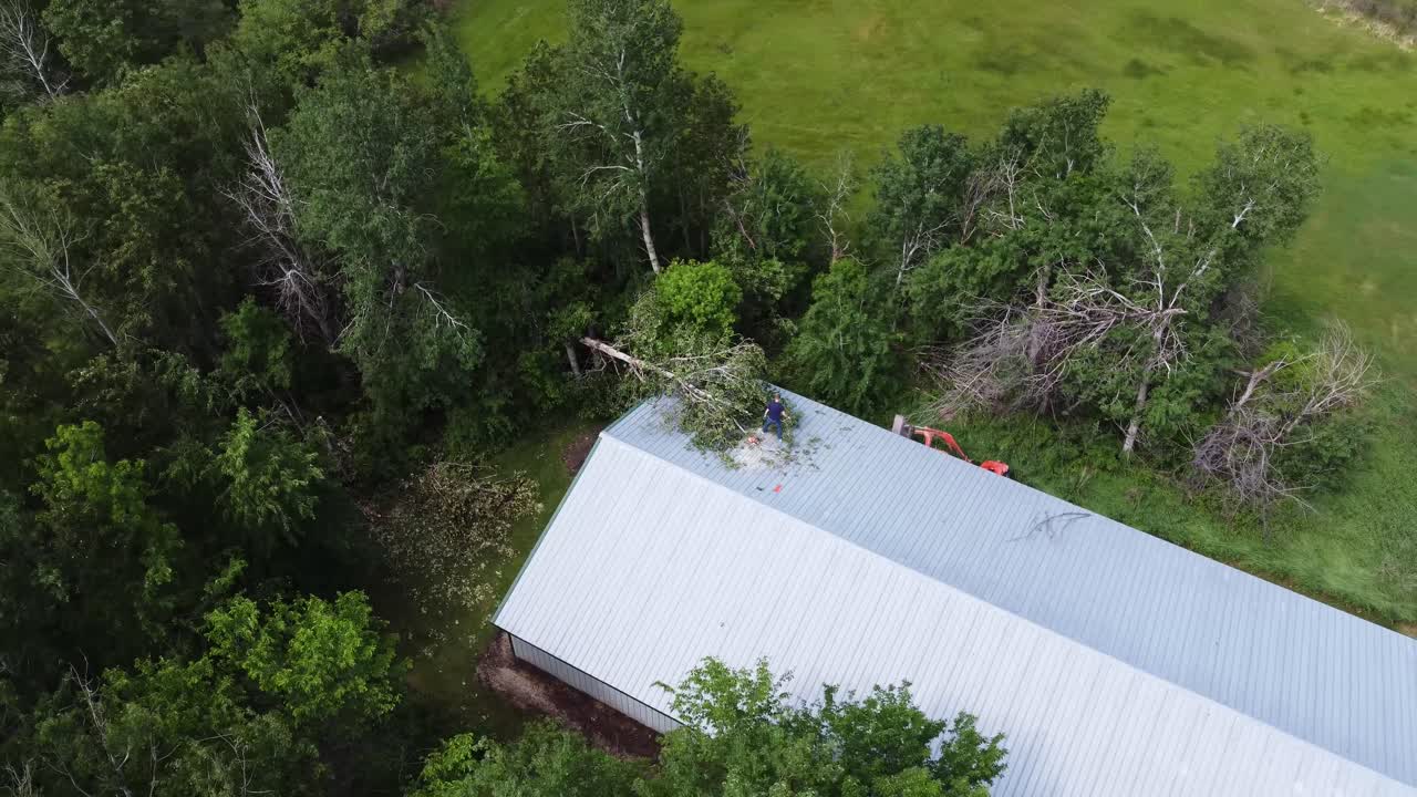 hombre limpiando el árbol en el granero después de la tormenta