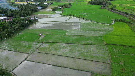 Virac-En-El-Centro-De-La-Ciudad-Con-Vibrantes-Campos-De-Arroz-Verdes-En-Catanduanes,-Filipinas,-Vista-Aérea