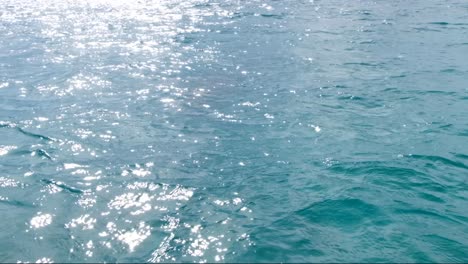 sunlight on surface of ocean with gentle rolling waves and swell in alor island, east nusa tenggara, indonesia