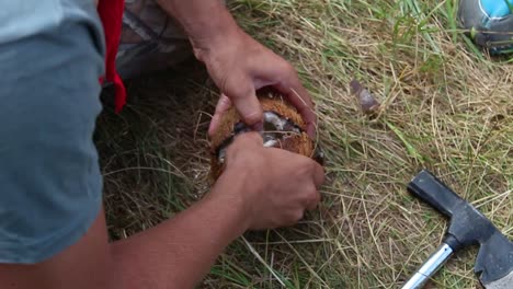 boy scout rasga el coco con un hacha