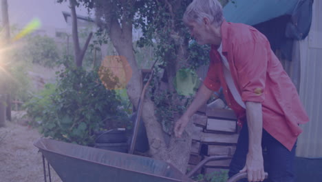 animation of glowing spots of light over caucasian man with wheelbarrow gardening