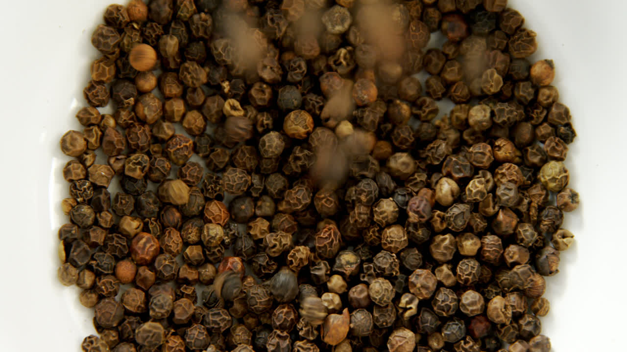 검은 고추 4k 그