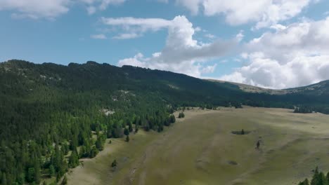 entering in valley of pine and grass with nice clouds, french alps