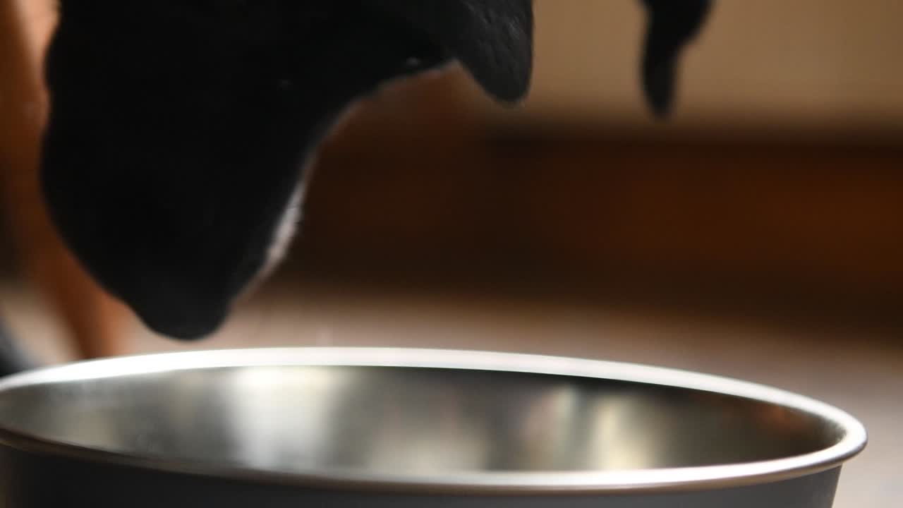 collie negro labrador cruzado con un perro labrador chocolate terminando un buen plato de comida para perros de cerca