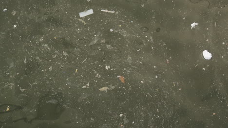 trash and muck float on top of canal river water polluting it with plastic and grime