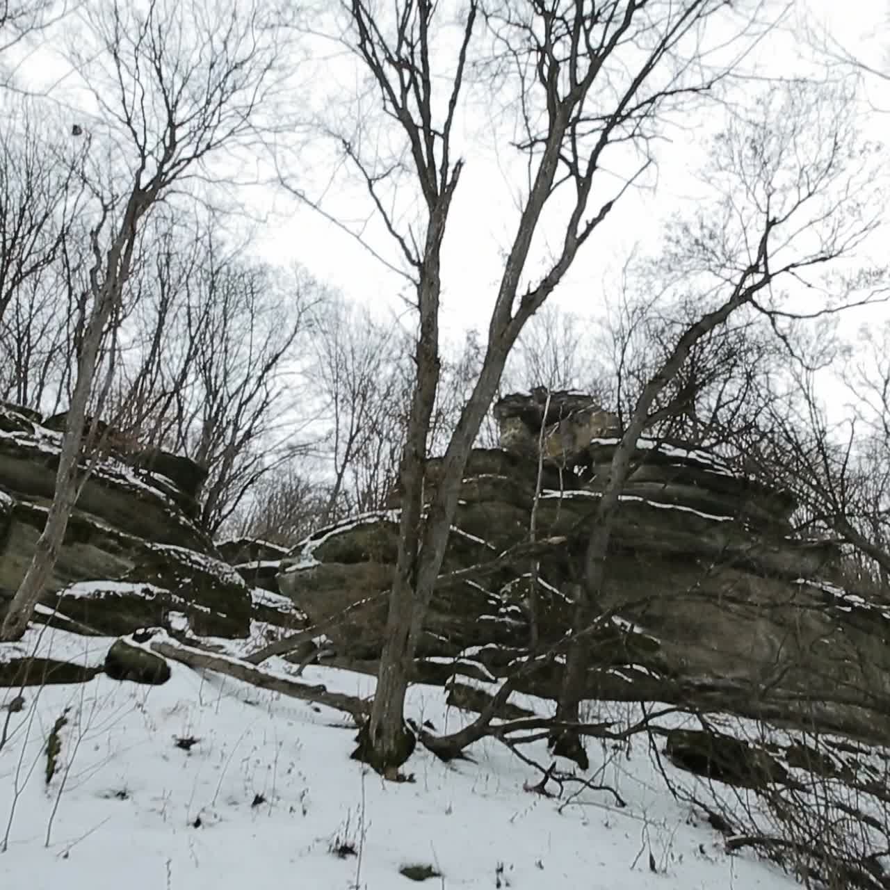 Hikers with backpack