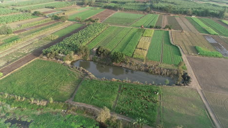 Aerial-shot-for-The-River-Nile-of-Egypt-in-Cairo-surrounded-by-the-green-lands-of-the-Nile-Valley-beside-Giza