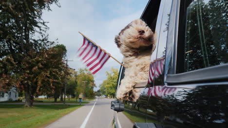 perro con bandera americana en la ventana del coche