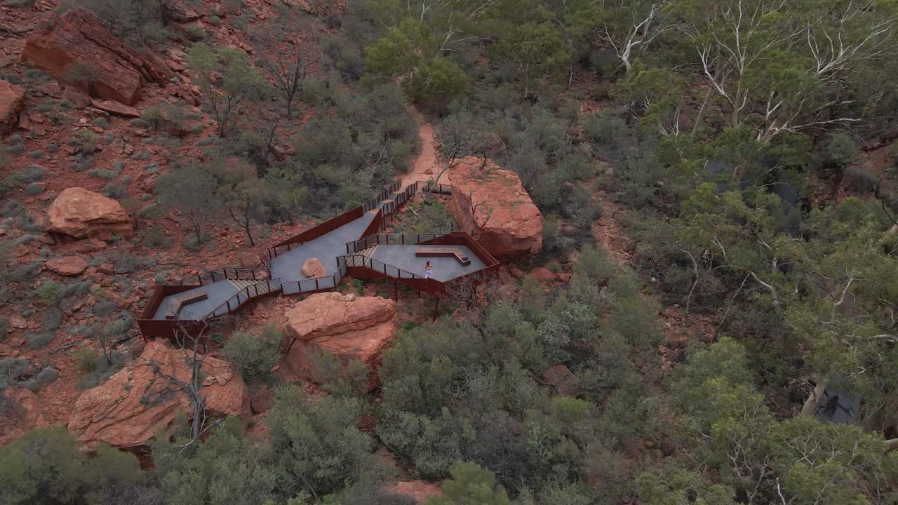 encantador viajero en la plataforma rodeada de denso follaje en kings canyon rim walk, petermann, australia