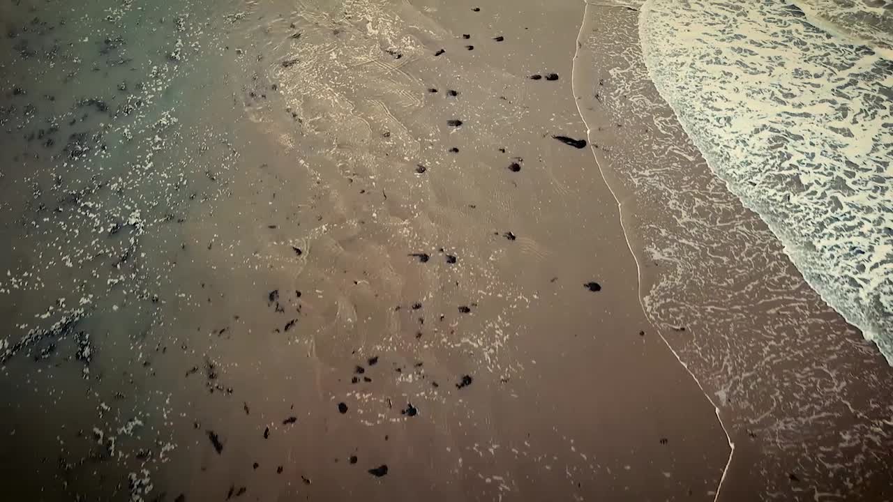 антенна прилива на пляже нормандии во франции к 75-й годовщине дня днр в 2019 году