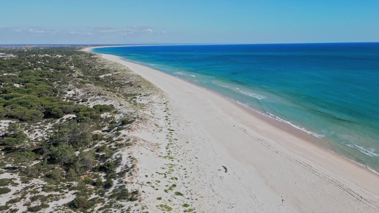 Veduta aerea che sorvola un'ampia spiaggia sabbiosa e un oceano turchese con una foresta nelle vicinanze.