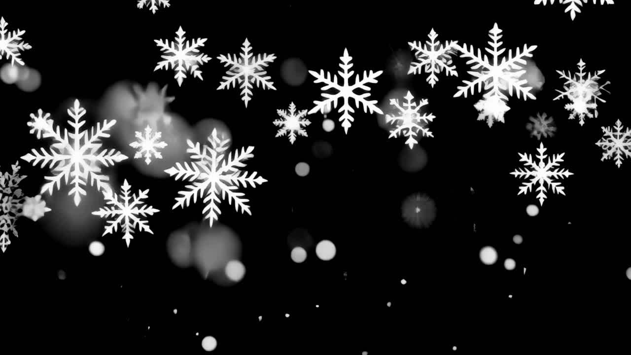 Snowflakes Falling on Black Background