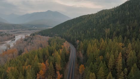 Carretera-De-Montaña-Pasando-Por-Coníferas-De-Otoño-Durante-La-Mañana-Brumosa