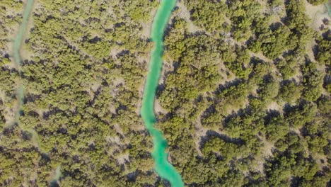 Vogelaugen-Aus-Der-Luft,-Die-Auf-Den-Türkisfarbenen-Wasserlauf-Der-Al-Reem-Mangrove-Hinabsteigen