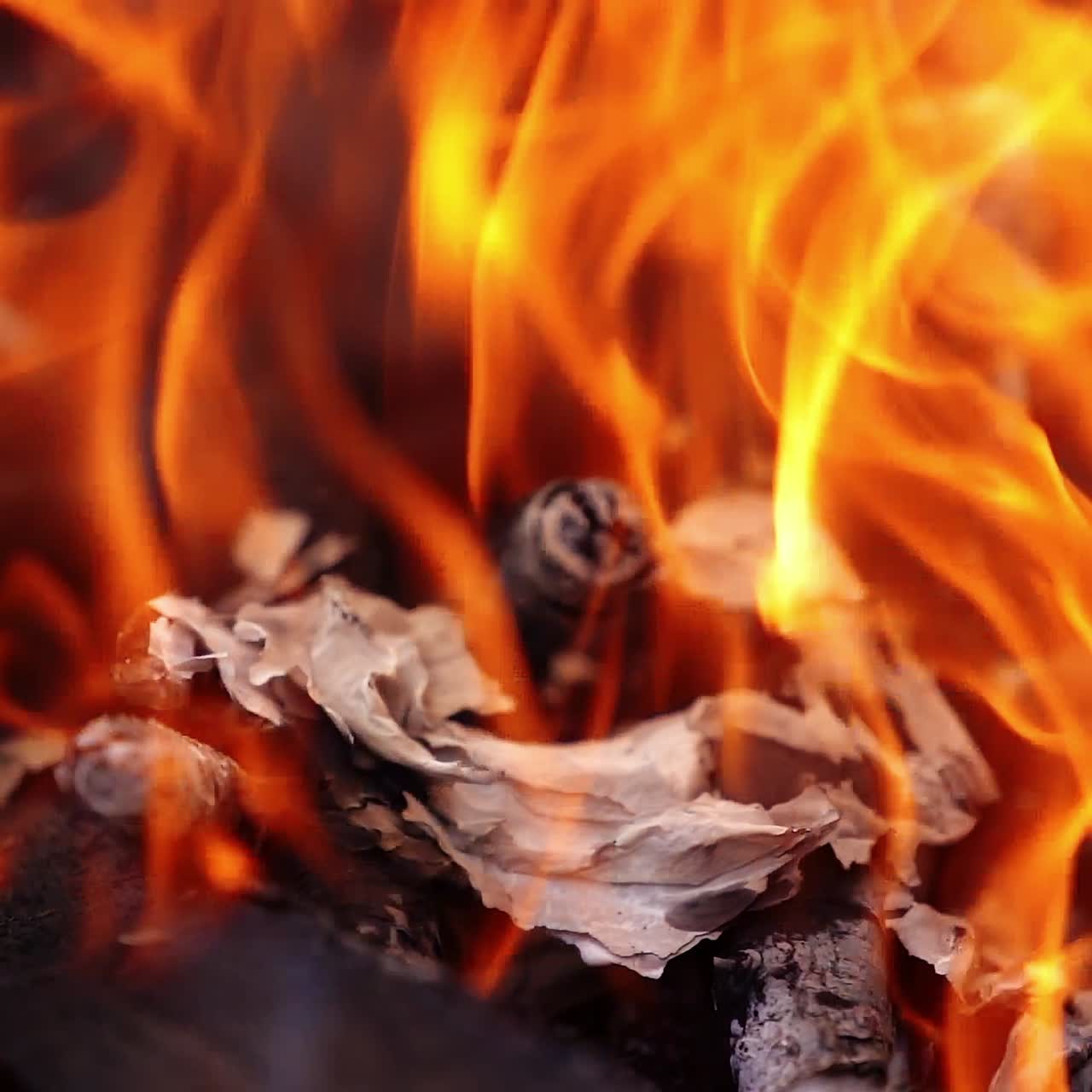 Red and yellow flame. Vivid fire background. Wood burning in bright fire for barbecue. Detailed motion of fire.