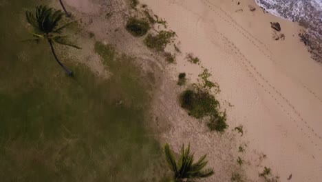 Türkisfarbenes-Wasser-Stürzt-Auf-Zerklüftete-Lavafelsen-Im-Beach-Park-In-Hawaii