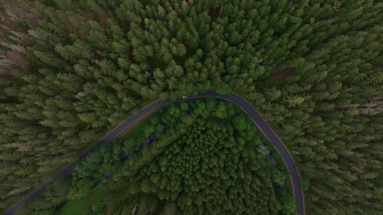 Fitta foresta e strada tortuosa con un'auto, Nova Ves, Repubblica Ceca.