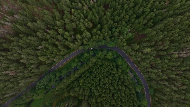 Fitta foresta e strada tortuosa con un'auto, Nova Ves, Repubblica Ceca.