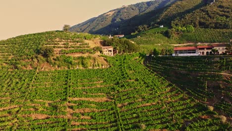 Aerial-view-of-the-Prosecco-hills-in-Valdobbiadene,-Italian-wine-region-with-drone