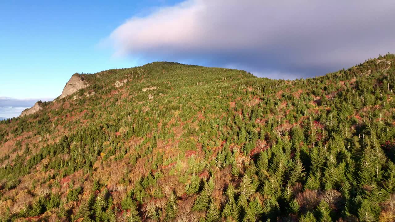 árboles a lo largo de las laderas de la montaña abuelo nc, carolina del norte aérea