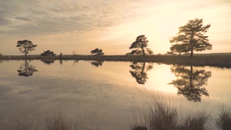 sunset reflections on a tranquil pond