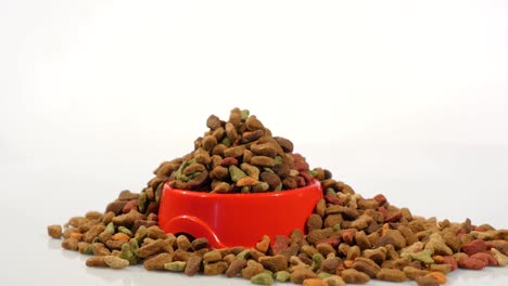 dry food for cats and other pets. rotates, studio shooting