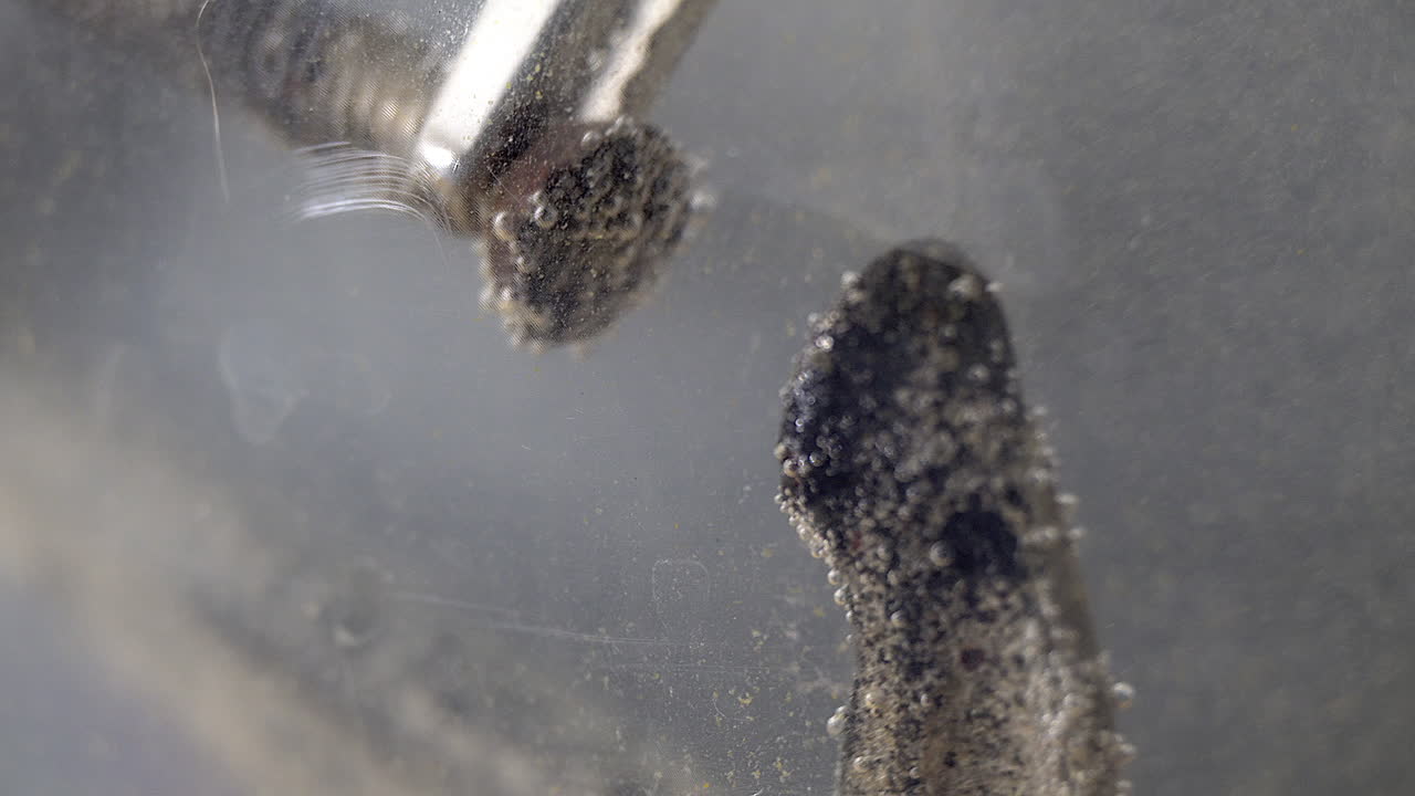 Hydrogen bubbles form on c-clamp during electrolytic cleaning