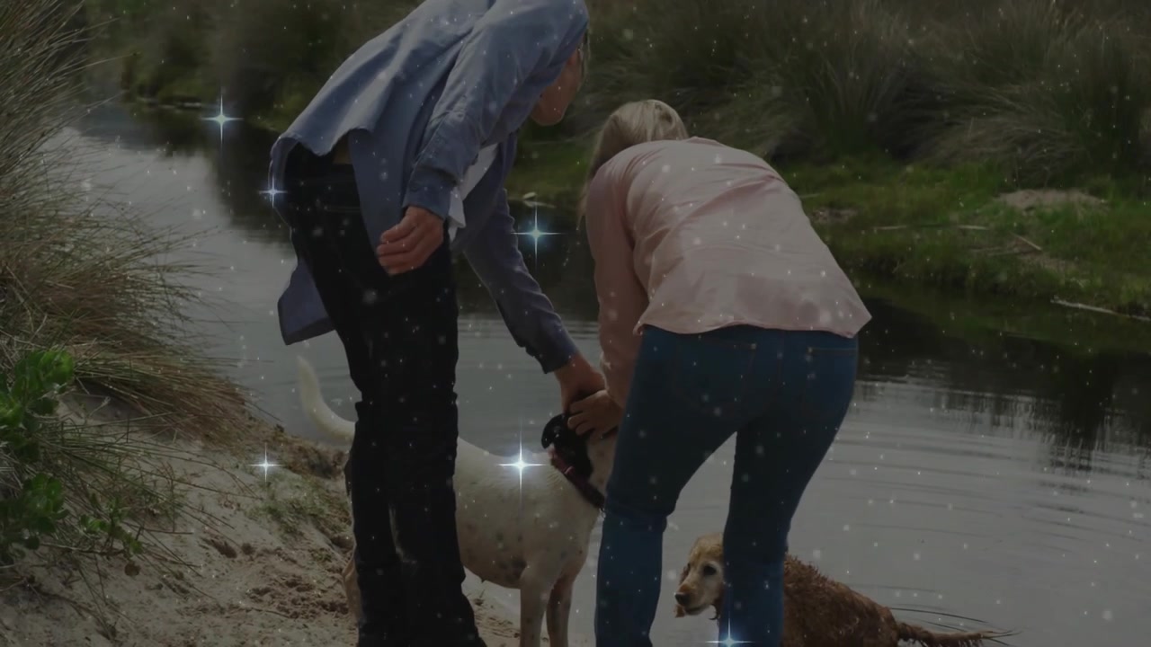 Casal caminhando na beira do lago, segurando coleiras, levantando cães brancos e marrom-e-brancos para a segurança dos animais de estimação