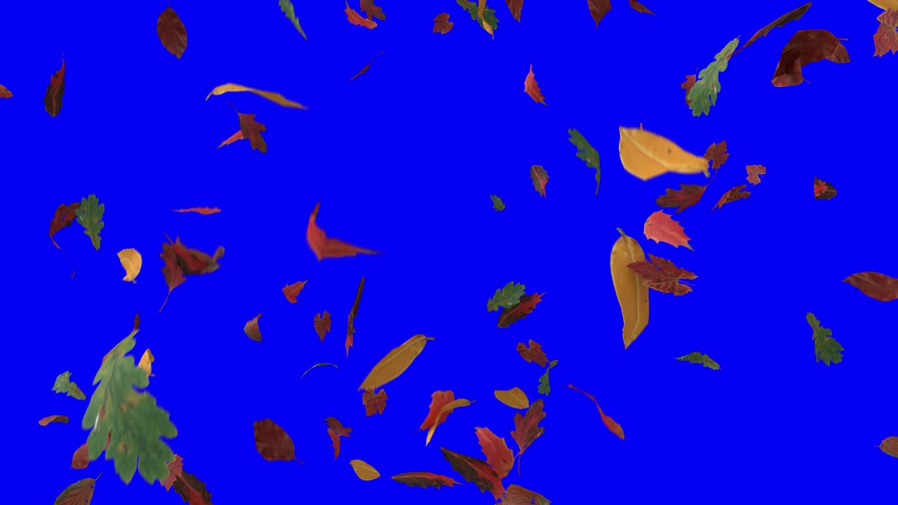 잎이 떨어지는 가을, 가을의 계절, 추수감사절, 나무, 잎 4k