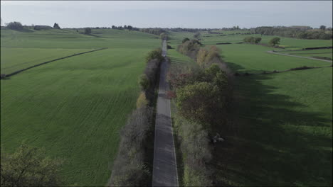 drone shot flying over a straight rode in between green fields over the trees on a grey day while a car drives away log