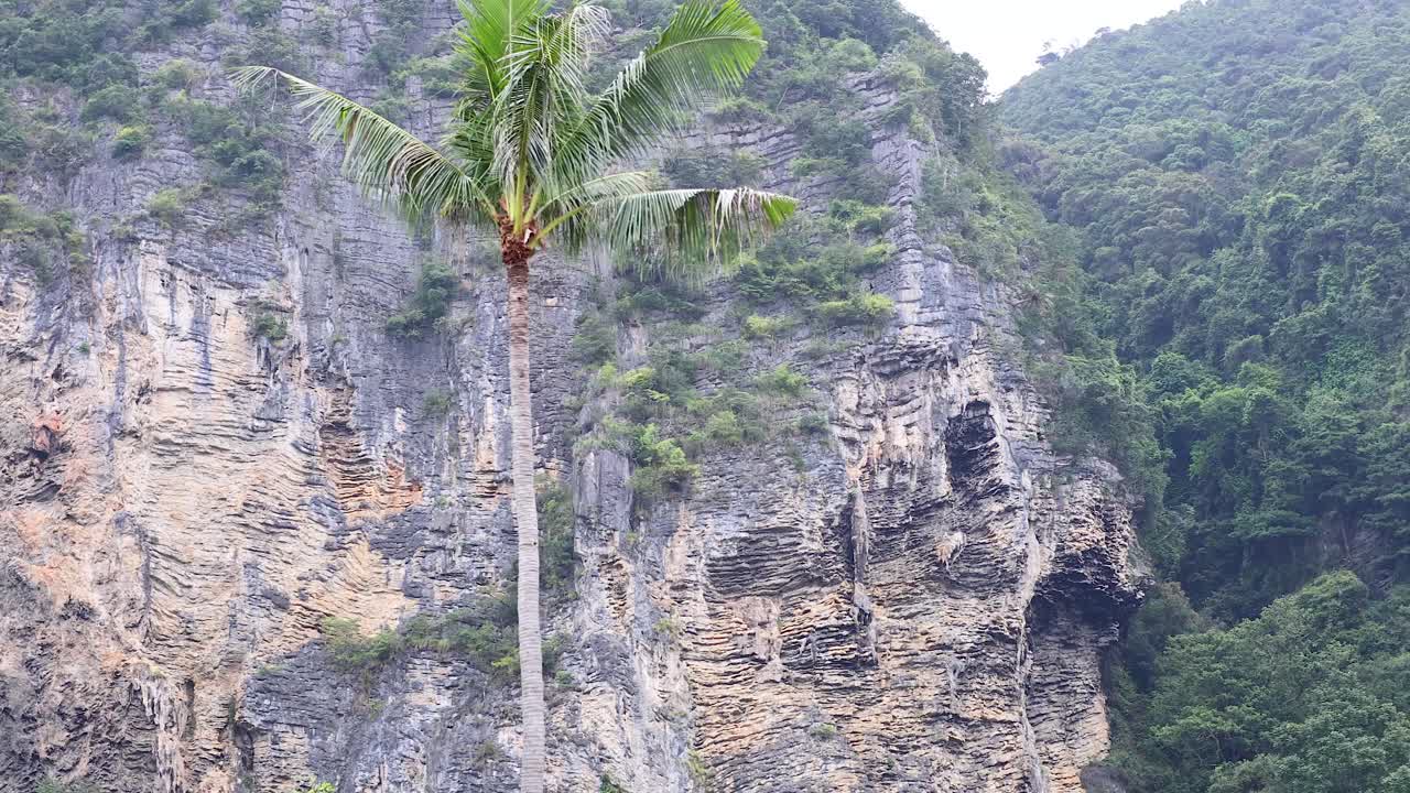 los exuberantes acantilados y las palmeras en krabi, tailandia
