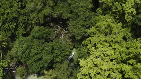 Aerial-pan-down-shot-over-a-small-boat-paddling-through-dense-jungle-terrain-on-a-small-river-in-the-Dominican-Republic