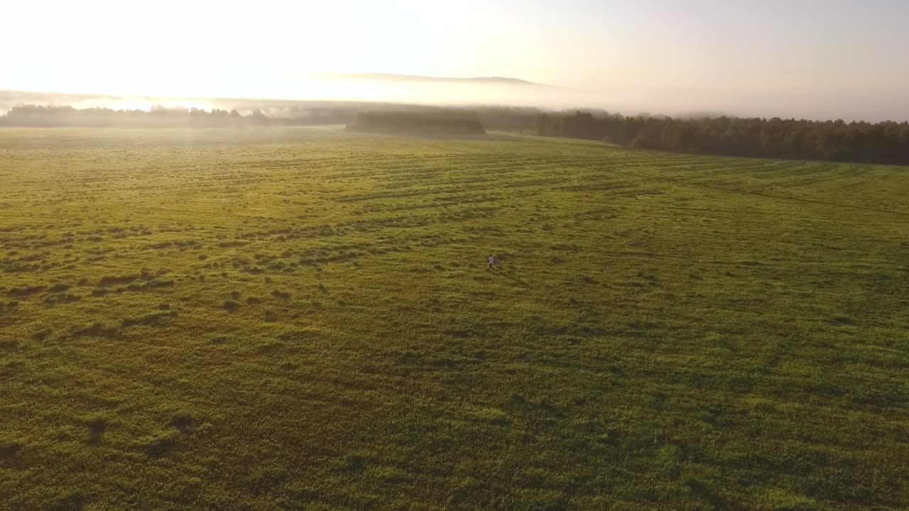 El amanecer sobre un campo de niebla