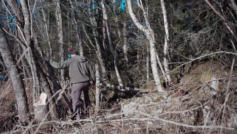 man collecting dry firewood in the forest in winter