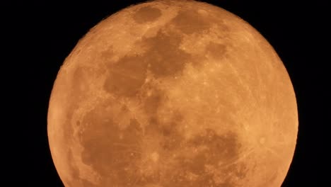 full moon in sky . close up