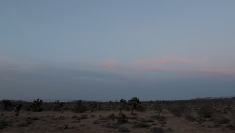 noche en el desierto