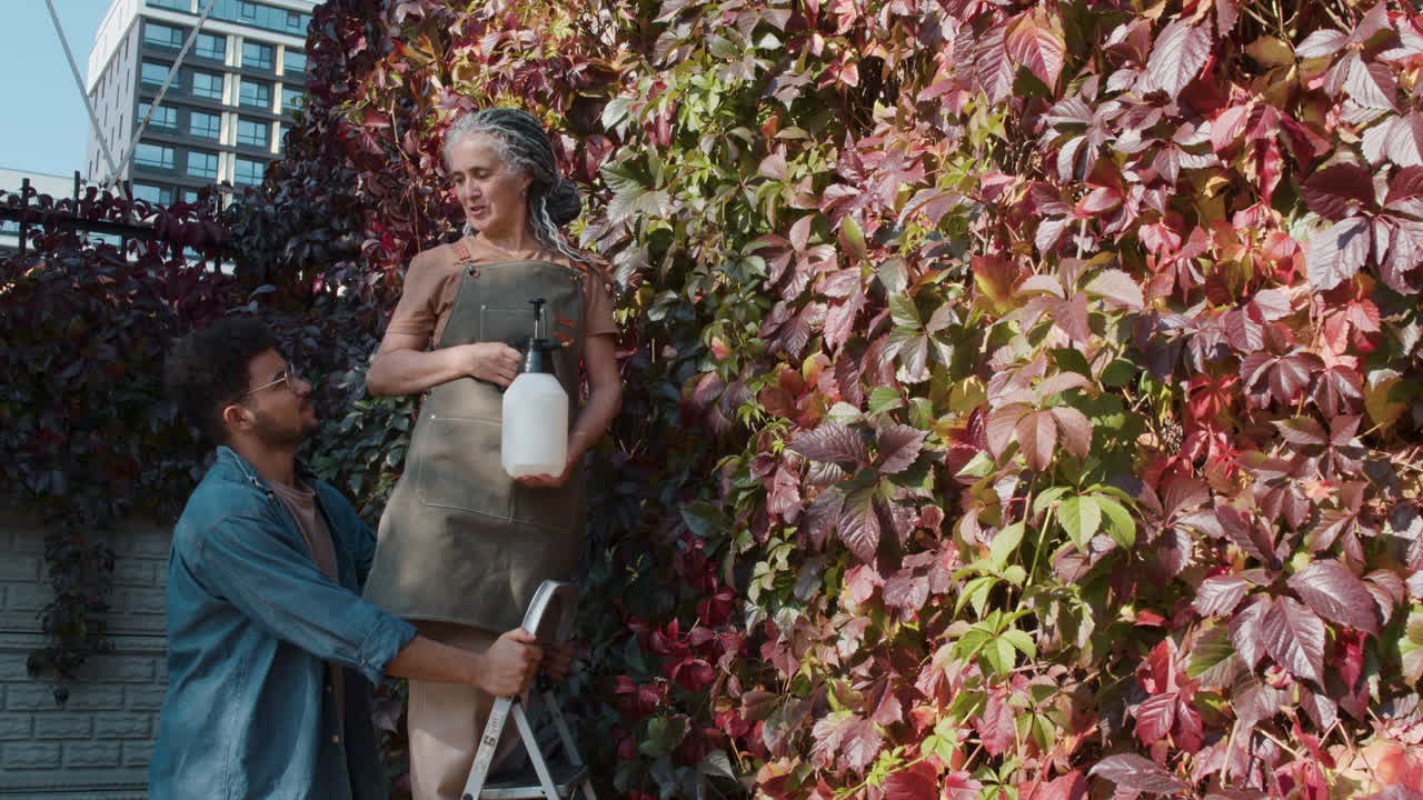 식물들을 돌보는 사람들