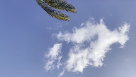 viagem de férias em playa de carmen cancun no méxico